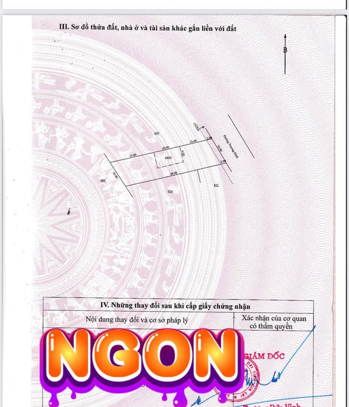 Đất nền mặt tiền đường Trương Định, phường Thắng Lợi, 380m² giá chỉ 1 tỷ - Cơ hội đầu tư hấp dẫn!