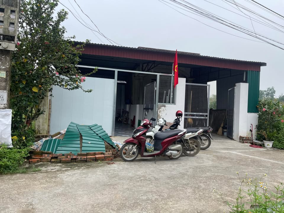 Nhà phố khu 1 Thanh Hà, Thanh Ba 100m² giá 800 triệu - Cơ hội đầu tư hấp dẫn!