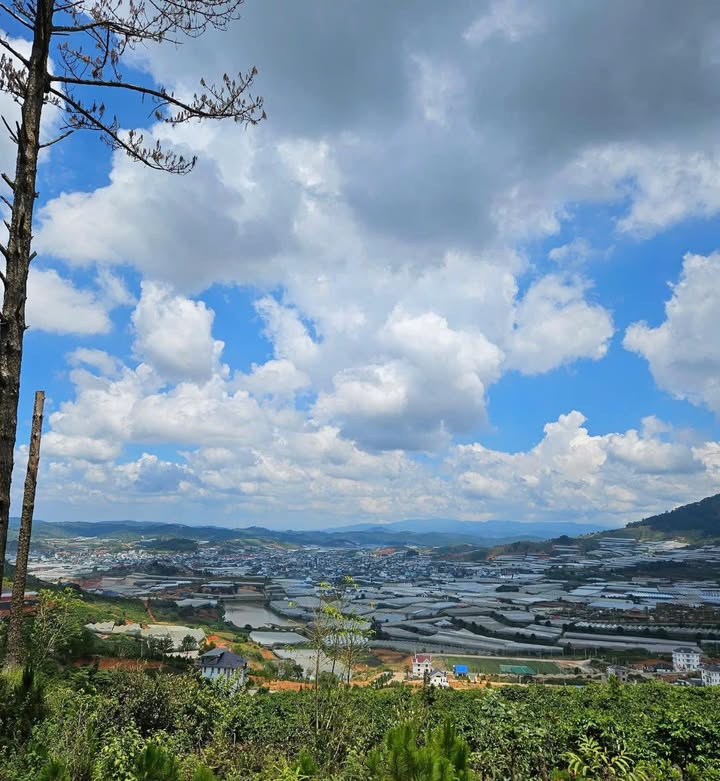 Đất đẹp Lạc Dương 1.6ha giá 28 tỷ - Đầu tư sinh lời ngay!