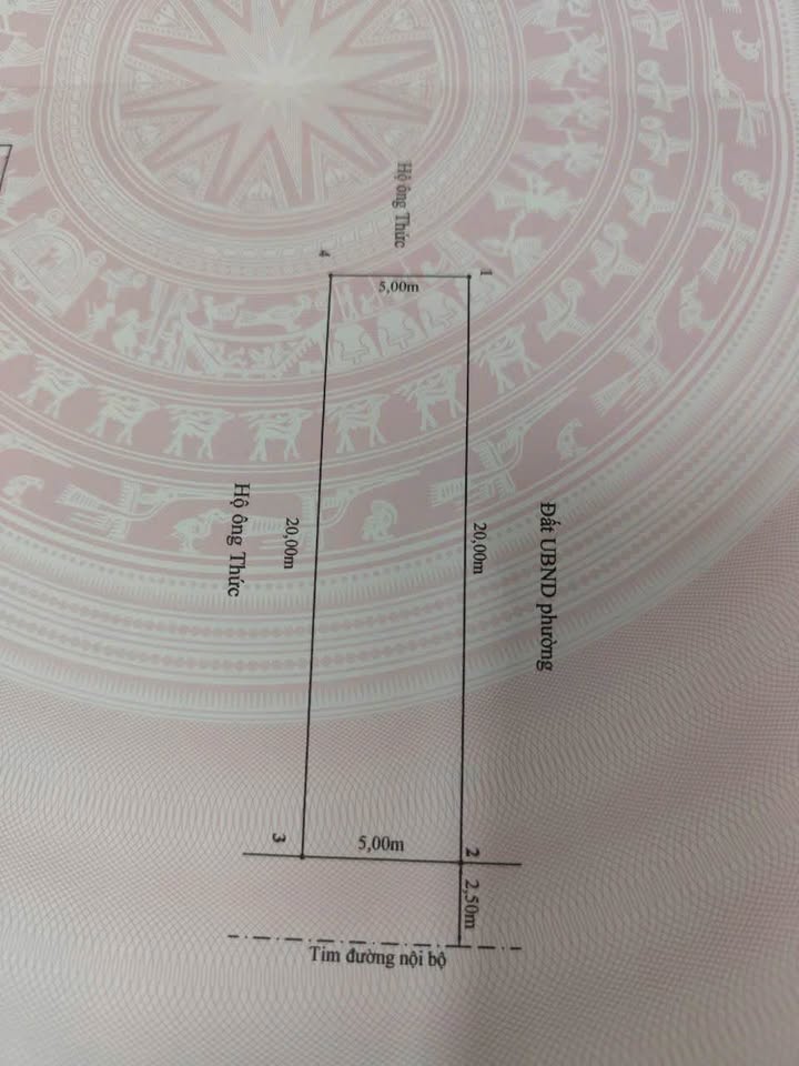 Đất nền đẹp tại Ngõ 135 Trung Lực, Hải Phòng - 100m² chỉ 5.6 tỷ