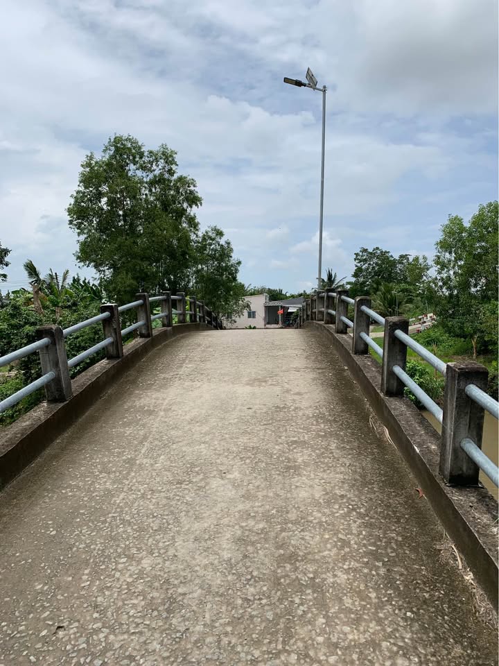 Đất vườn 1.800m² Phú Hòa, An Giang - Sẵn sàng khai thác ngay!