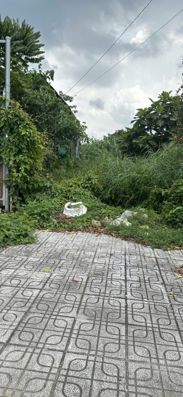 Đất thổ cư Chơn Thành 195m² - Mặt tiền Lạc Long Quân, giá đầu tư hấp dẫn!