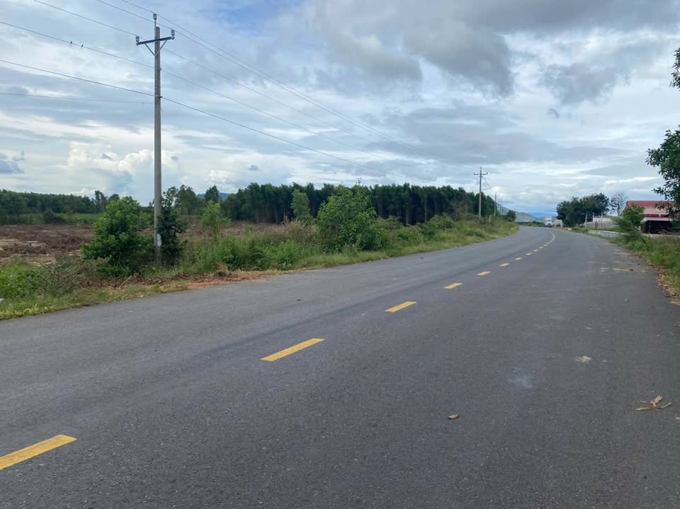 Đất Farm 1,4ha mặt tiền đường Lương Định Của, La Gi - Giá 17 tỷ - Đầu tư sinh lời ngay!