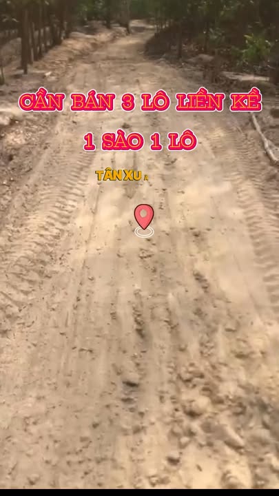 Đất nền Tân Xuân 1.063m² giá 900 triệu - Cơ hội đầu tư hấp dẫn!