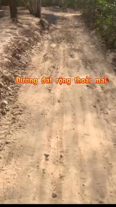 Đất liền kề 1 sào tại Tân Xuân, Hàm Tân chỉ 900 triệu - Cơ hội đầu tư tuyệt vời!