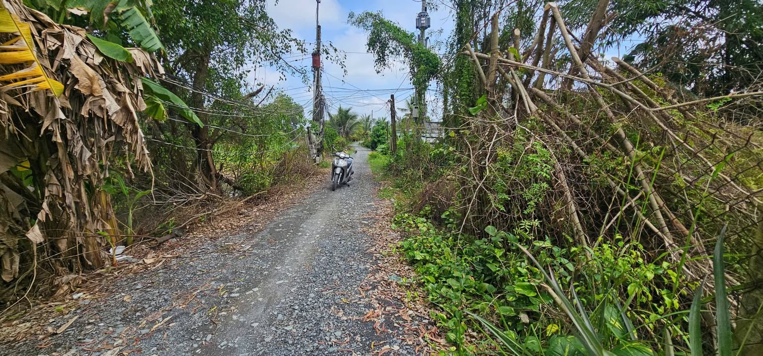 Đất nền Thạnh Lợi, Bến Lức 228m² giá 1.3 tỷ - Đầu tư sinh lời ngay!