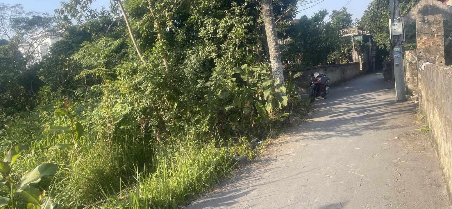 Đất thổ cư Liêm Chung Phủ Lý 104m² giá 1.9 tỷ - Mặt tiền 4m hướng Đông