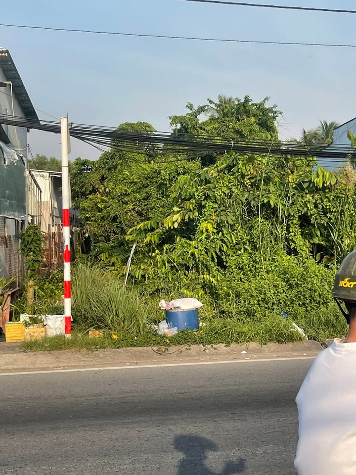 Đất mặt tiền Quốc Lộ 61 1162m² - Phù hợp làm khu du lịch sinh thái