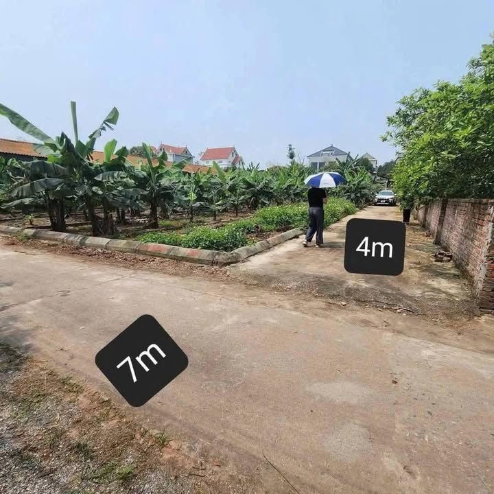 Đất nền phường Sơn Nam Hưng Yên 85m² giá 900 triệu - Cơ hội đầu tư tuyệt vời!