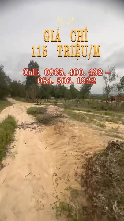 Đất mặt tiền đường Trưng Nhị, Tân An, La Gi 1640m² giá 188.68 tỷ - Đầu tư sinh lời mạnh mẽ!