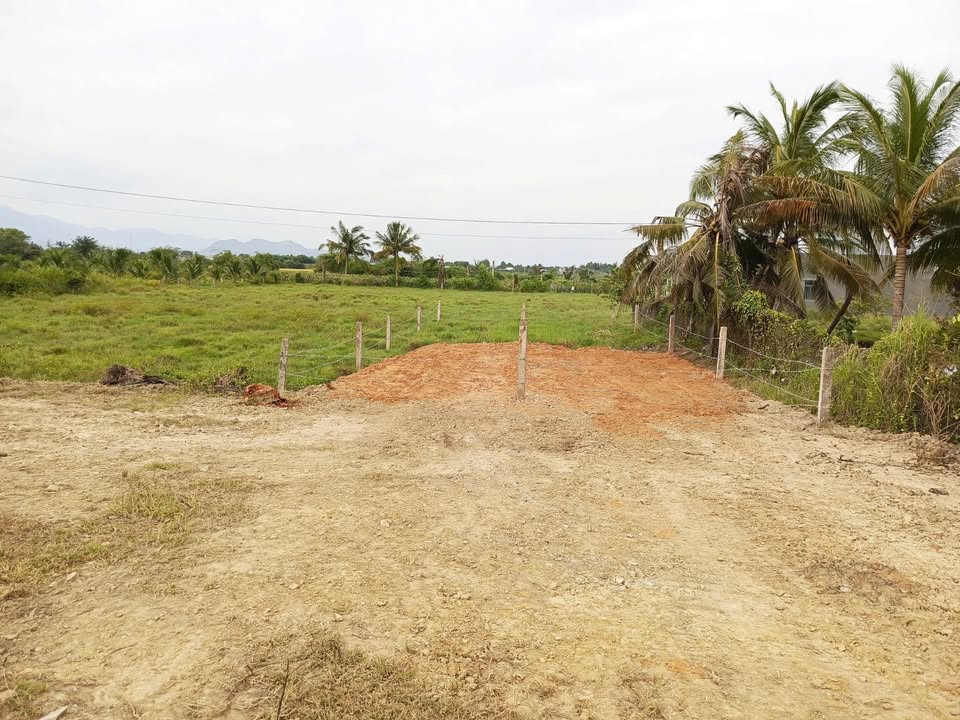 Đất thổ cư Hàm Liêm 135m² giá chỉ 5xx triệu - Cơ hội đầu tư hấp dẫn!