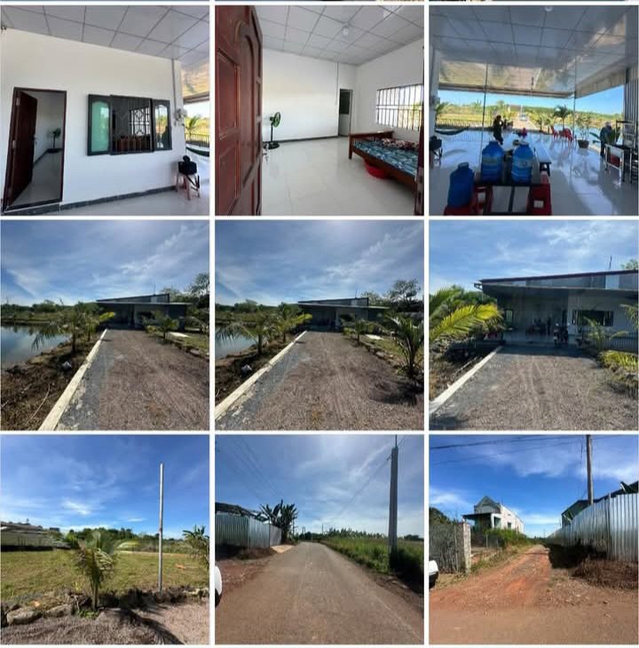 Farm tại Vĩnh An, Vĩnh Cửu 8280m² giá 1.6 tỷ - Không gian sống lý tưởng bình yên!