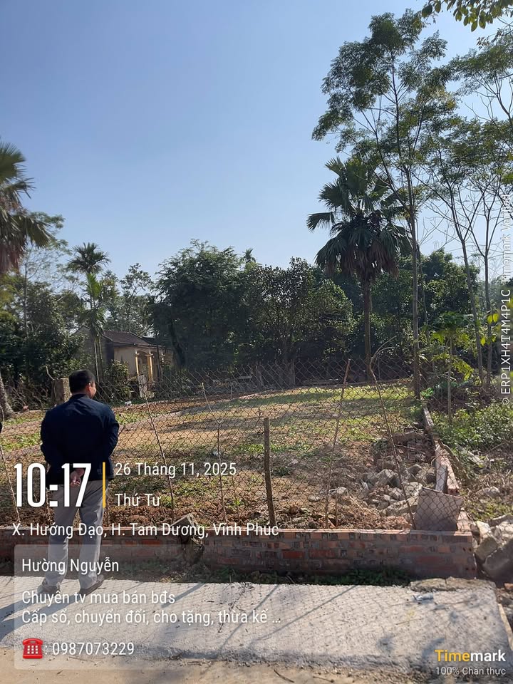 Đất nền Hướng Đạo, Tam Dương 211m² giá 1.5 tỷ - Cơ hội đầu tư tuyệt vời!