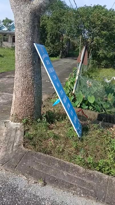 Đất nền Cẩm Xuyên 220m² giá 1.6 tỷ - Cơ hội đầu tư sinh lời!