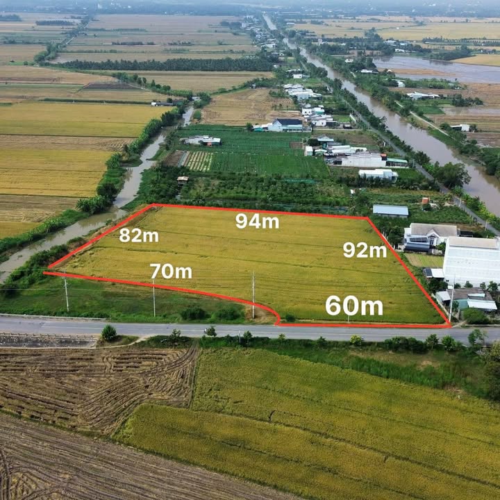 Đất nền 10000m² tại Ấp Phú Trung, Gò Công Tây - Giá 10 tỷ, Thương lượng ngay!