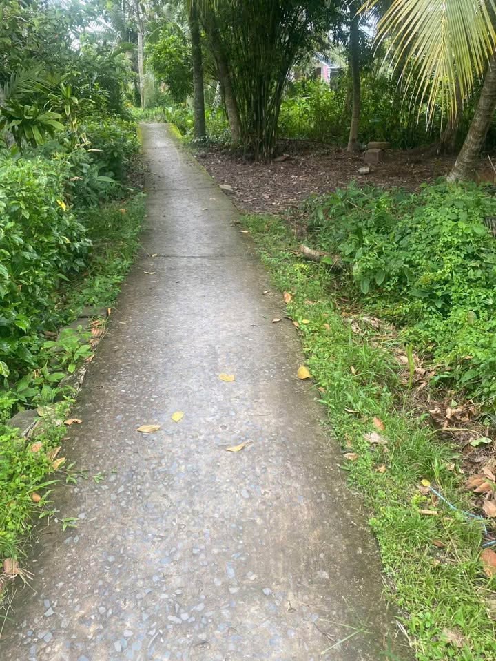 Đất nền Hòa Bình, Trà Ôn 1600m² giá 700 triệu - Cơ hội đầu tư hấp dẫn!