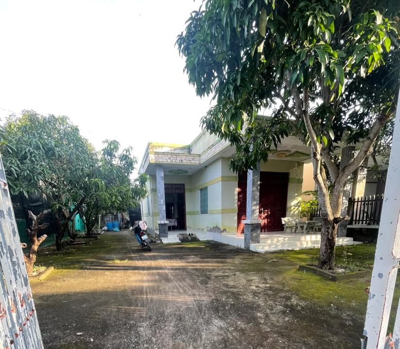 Đất thổ cư tại xã Thạnh Trị, Bình Đại 560m² giá 920 triệu - Sổ đỏ, nở hậu