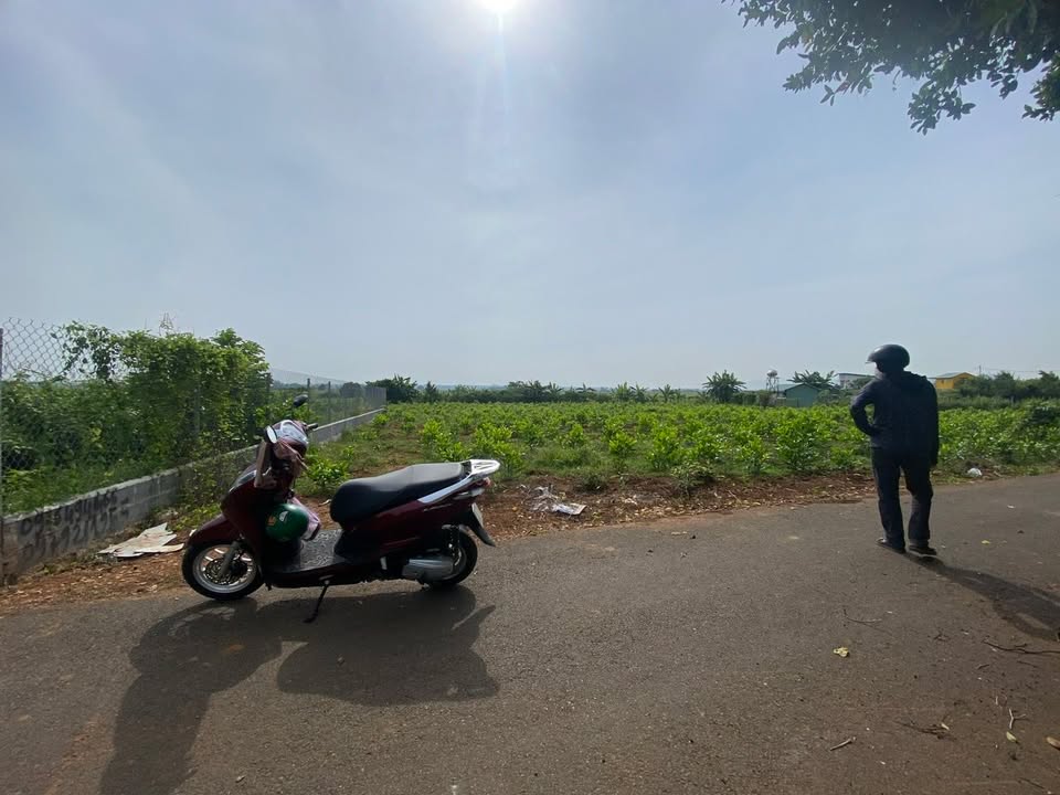 Đất thổ cư Long Phước 330m² giá 2.05 tỷ - Mặt tiền đường nhựa thoáng đãng!