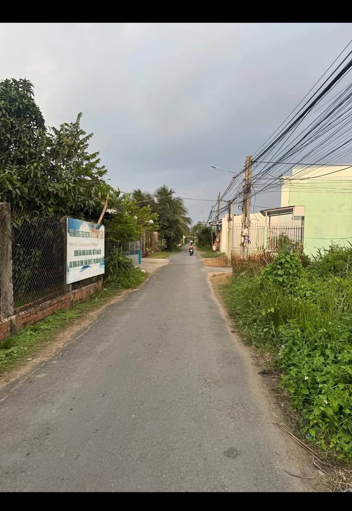 Đất nền mặt tiền đường Lộ Thống Nhất, Bến Tre 120m² giá 1.23 tỷ - Vị trí đẹp, thuận lợi kinh doanh!