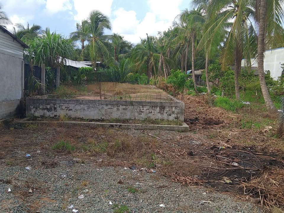 Đất nền ấp Tân Viên, Mỏ Cày Nam 286m² giá chỉ 900 triệu - Cơ hội đầu tư sinh lời!