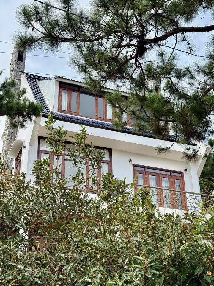 Biệt thự rừng thông Đường Ankroet Đà Lạt 230m² giá 15 triệu - Không thể bỏ lỡ!