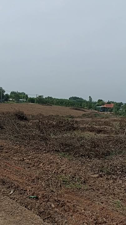 Đất nền 2000m² xã Hiếu Liêm, Vĩnh Cửu - Giá chỉ 200 triệu, cơ hội đầu tư tuyệt vời!