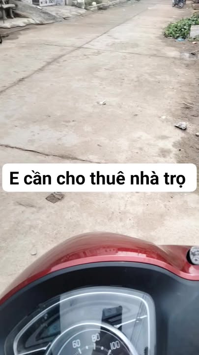 Nhà trọ 4 phòng tại Khánh Hải, Ninh Hải - Giá chỉ 4.5 triệu/tháng!