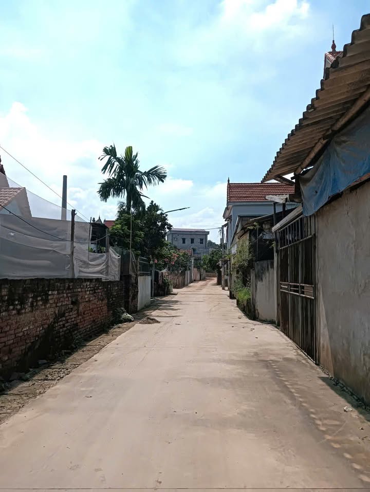 Đất nền Thư Phú, Thường Tín 62m² giá 3.717 tỷ - Vị trí đẹp, giao thông thuận tiện!