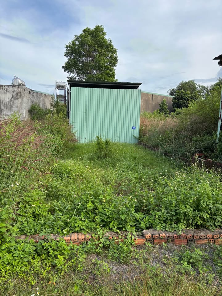 Đất nền Tân Phong 100m² giá 450 triệu - Cơ hội đầu tư lý tưởng!