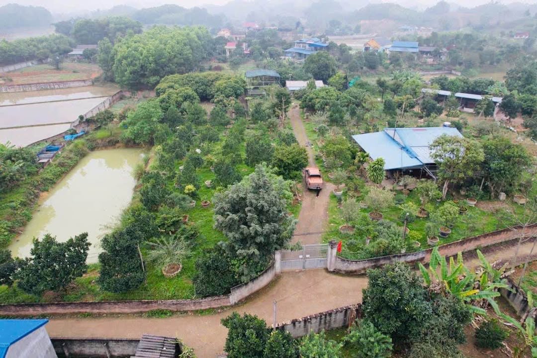 Đất nền Minh Lập Đồng Hỷ 7000m² giá 8 tỷ - Phù hợp làm nhà vườn, trang trại!