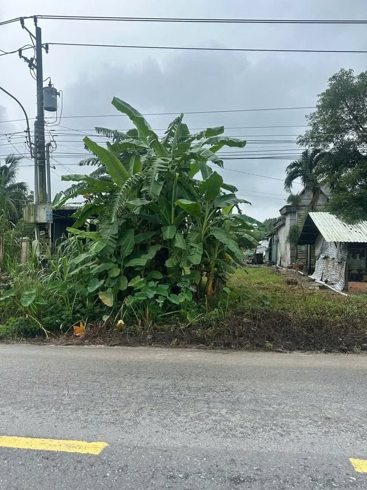 Đất nền ĐT 748 Bến Cát 400m² giá 2.1 tỷ - Đầu tư sinh lời ngay!