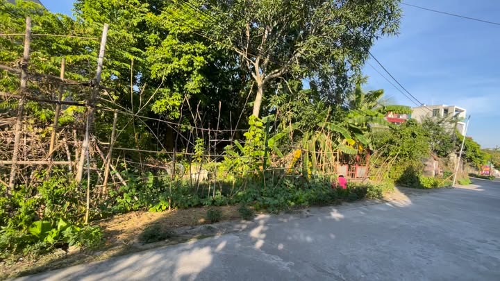 Đất nền khu phố 7, phường Thanh Hà 78m² giá 2 tỷ - Tiềm năng đầu tư cao!