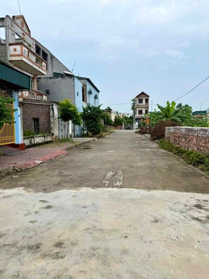 Đất đấu giá xã Phượng Hoàng, Thanh Hà 100m² giá 1 tỷ - Cơ hội đầu tư hấp dẫn!