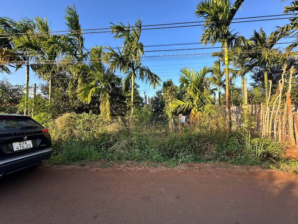 Đất mặt tiền 10KC, TDP Kiên Cường, P. Tân An - 700m² giá 2.3 tỷ - Sẵn nguồn thu ổn định!