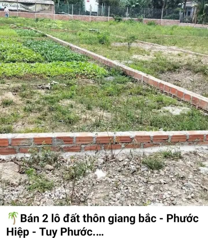 Đất thổ cư thôn Giang Bắc, Phước Hiệp, Tuy Phước 91m² giá 300 triệu - Đầu tư sinh lời ngay!