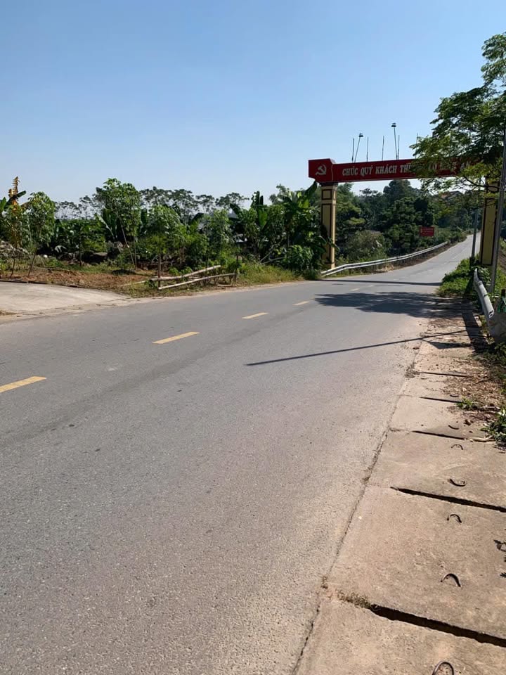 Đất nền 100m² khu 1 Thanh Đình, Hy Cương, Phú Thọ chỉ 1.6 tỷ - Tiềm năng đầu tư lớn!