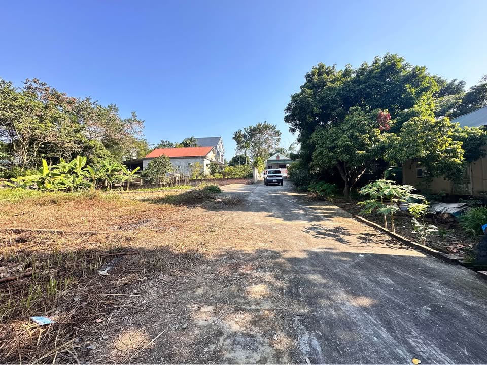 Đất Khu 4B Vân Phú Việt Trì 85.1m² giá 1.5 tỷ - Tiềm năng tăng giá mạnh!