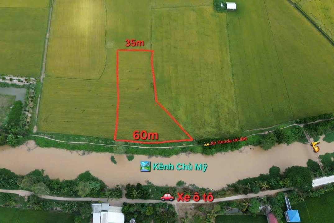 Đất Lúa Mặt Tiền Kênh Chủ Mỹ 3,3 Công Giá Chỉ 200 Triệu - Cơ Hội Đầu Tư Hiếm Có!