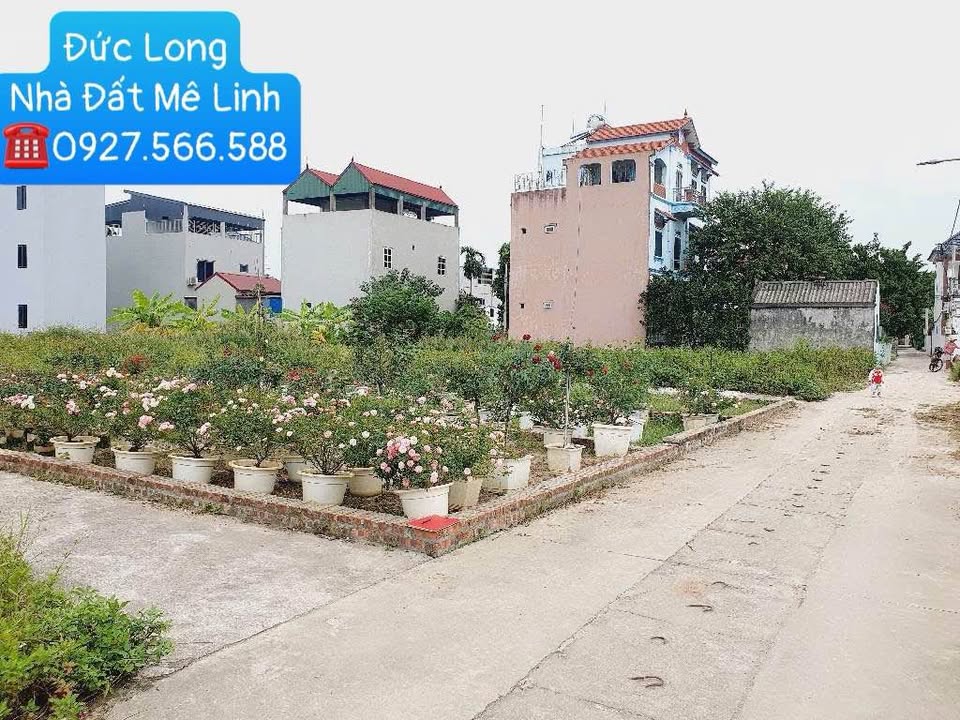 Đất nền góc Quang Minh Mê Linh 69m² giá chỉ 3 tỷ - Cơ hội vàng đầu tư!