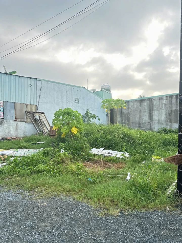 Đất nền Tân Phong Biên Hòa 125m² giá 800 triệu - Đường xe hơi, gần trường học!