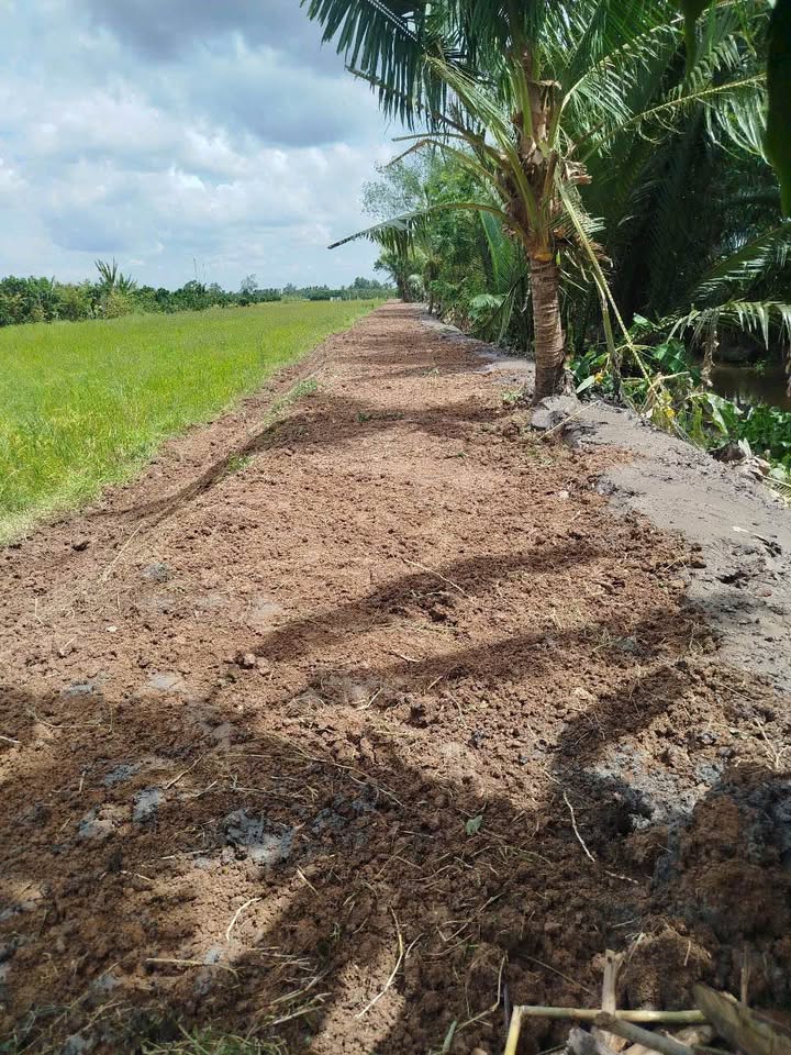 Đất lúa 5,800m² tại ấp Giòng Dài, Vĩnh Long - Giá chỉ 210 triệu!