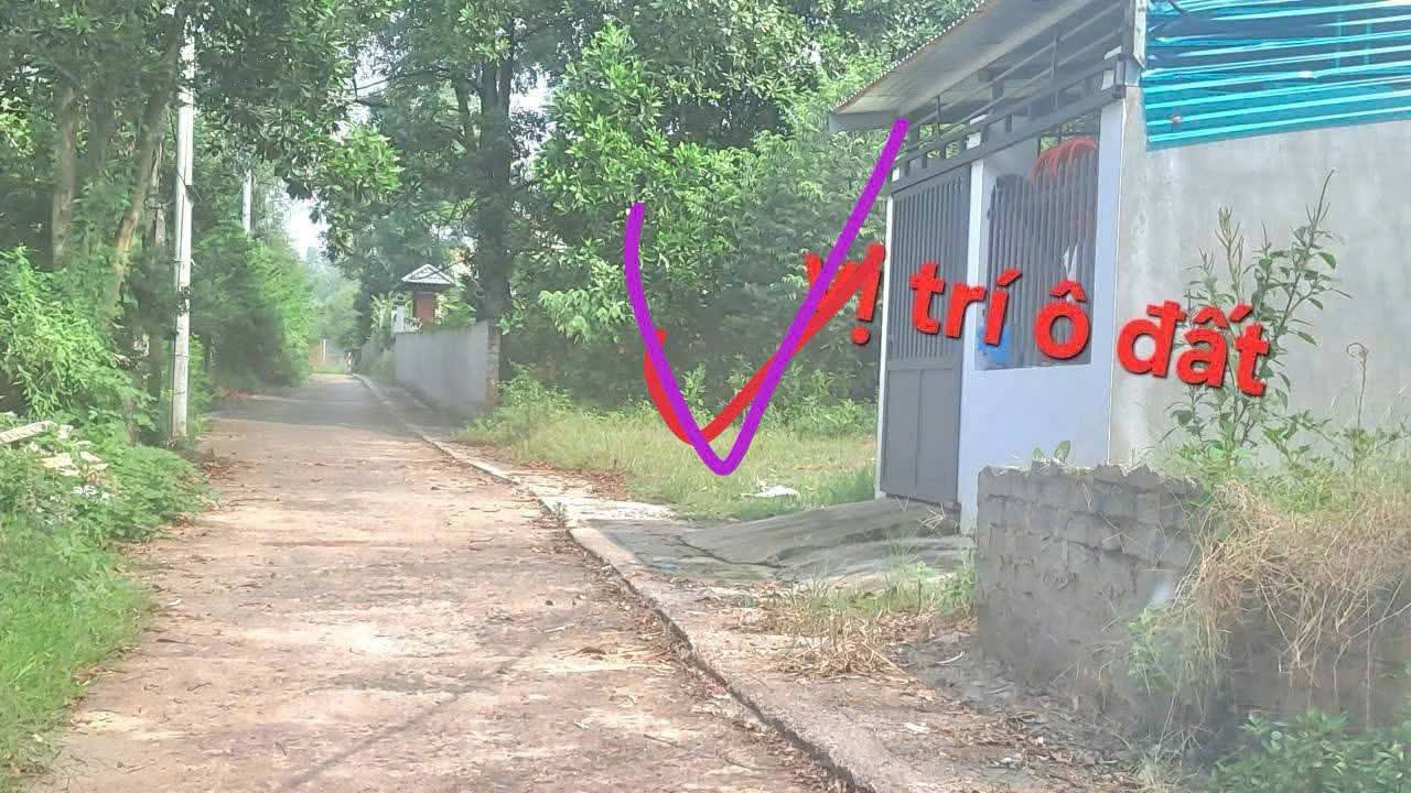 Đất nền Thanh Vân, Tam Dương 109m² giá chỉ 1 tỷ - Đường thông thoáng ô tô vào tận nơi!