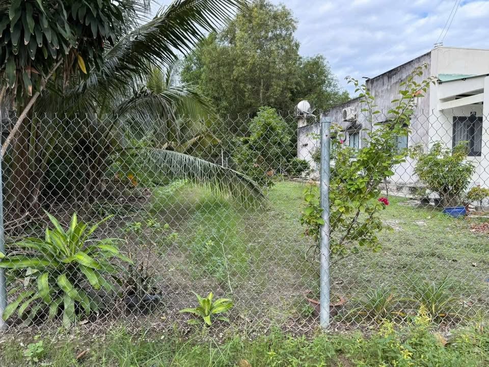 Đất nền Thanh Hòa, Thanh Điền, Tây Ninh 280m² giá 63 triệu - Cơ hội đầu tư tốt!