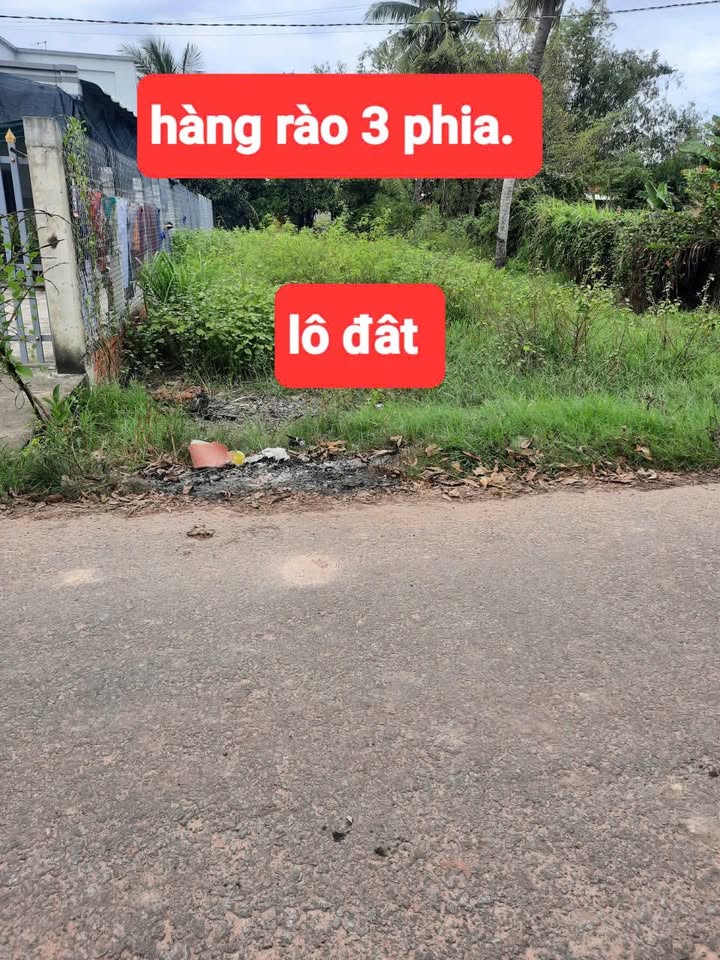 Đất nền Tân Biên, Tây Ninh 400m² giá 2.728 tỷ - Đất đẹp, cao ráo, đã rào sẵn!