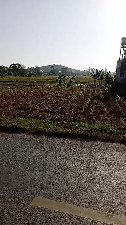 Đất nền Quỳnh Tam 308m² giá 1.6 tỷ - Sổ hồng riêng, gần lữ đoàn 215!