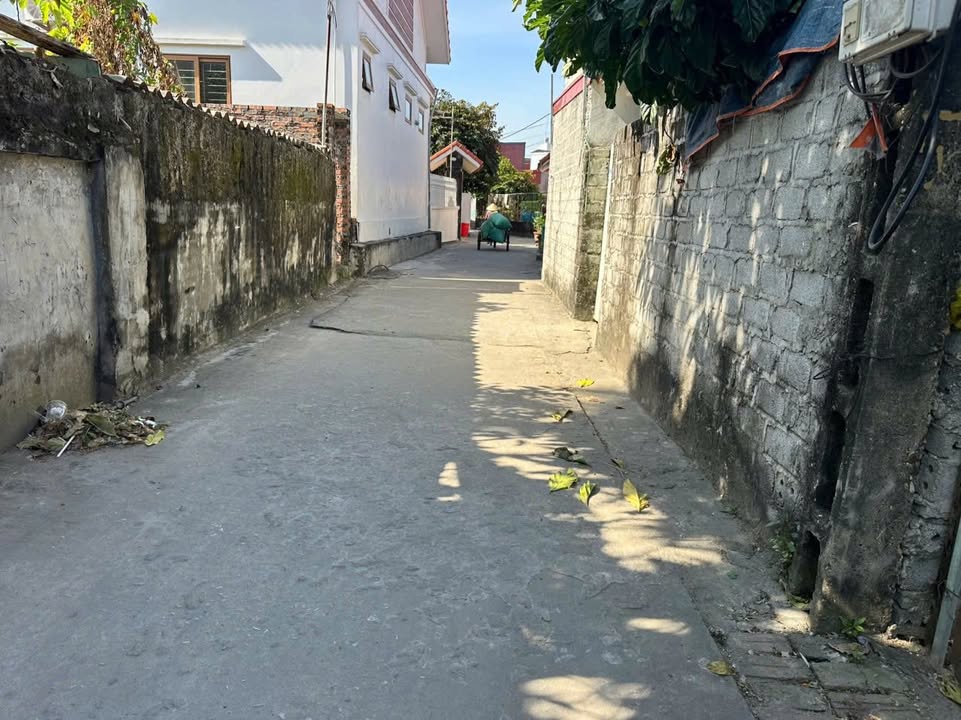 Đất nền 116m² khu phố 3, Thị Trấn Tiên Lãng - Giá thỏa thuận, đầu tư sinh lời!