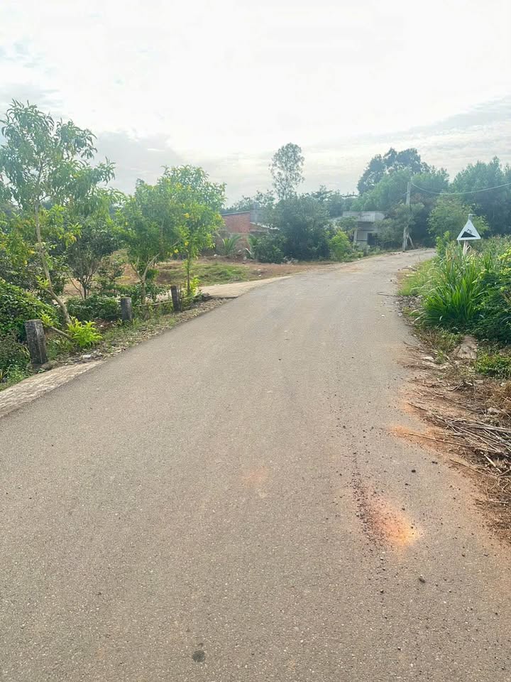 Đất ở Suối Rao, Châu Đức 1400m² giá 2.1 tỷ - Sổ hồng riêng, mặt tiền đường nhựa!