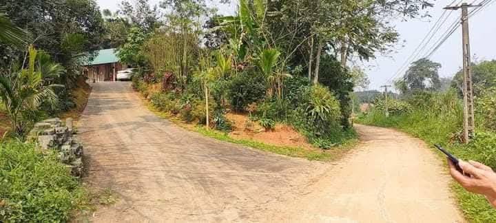 Đất Farm Phú Nhuận - Bảo Thắng - Lào Cai 23.452m² giá thỏa thuận - Đầu tư sinh lời ngay!