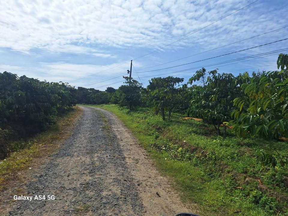 Đất nền Hòa Bắc - Di Linh 70.000m² giá 4.2 tỷ - Đầu tư sinh lời ngay!