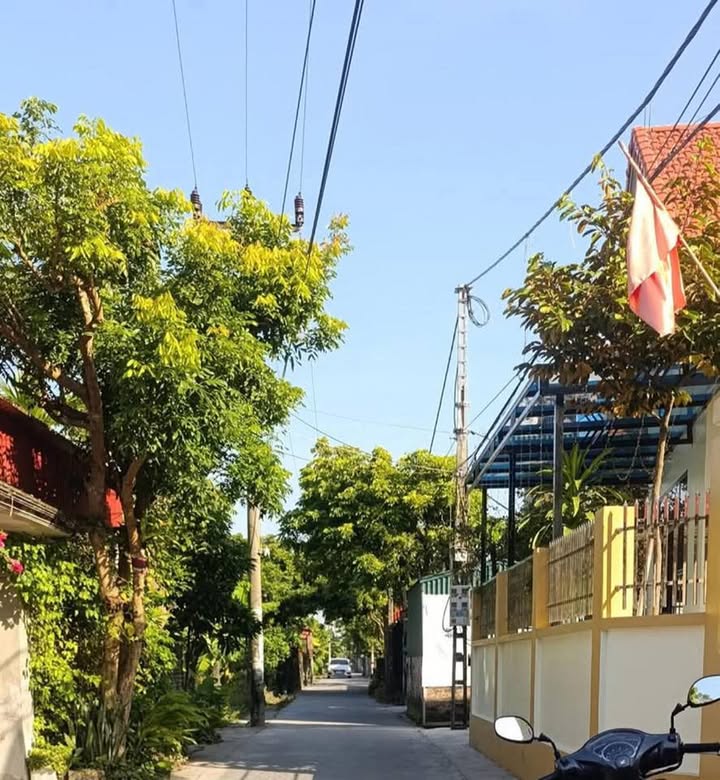 Lô đất 112m² khu phố 7, phường Thanh Hà - Giá chỉ 2 tỷ, đầu tư thông minh!